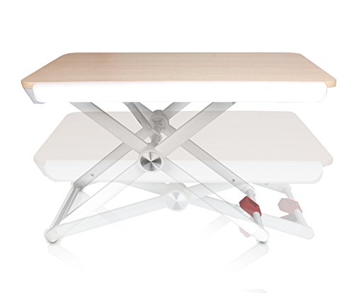 Aluratek Adjustable Ergonomic Standing Desk, Supports MacBook Pro, MacBook Air, Chromebook, Ultrabook, Netbooks