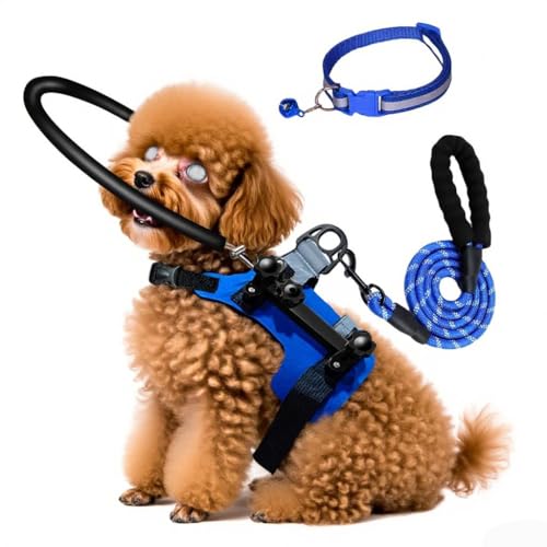 Blind Dog Halo Harness with Leash