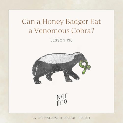Can a Honey Badger Eat a Venomous Cobra? Lesson 136
