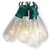 Sylvania V51587 10 Light, Clear, Elongated ST40 Edison Bulb Style Light Set