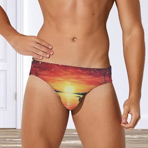 Sunset Heron Bird Men's Swimsuit Bikini Briefs Swim Underwear Stretchy Swimwear2