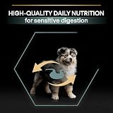 PURINA PRO PLAN | Czułe trawienie | Kompletne karma dla średnich szczeniąt | Promuje zdrowy układ trawienny | Bogata w jagnięcinę | Karma | Torba 3 kg