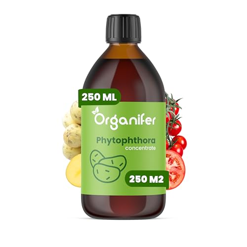 Concentrado De Phytophthora - 250 Ml Por 250 M2 - Preparado Para Patatas Y Tomates - Cuidado De Plantas - Fertilizante - Fertilizante De Jardín - Organifer