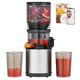 AMZCHEF Entsafter – Slow Juicer mit 160MM Öffnung für Ganze Zutaten – Entsafter für Gemüse und Obst – 2 L Saftbehälter, Sicher & Leicht zu Reinigen, aus Edelstahl
