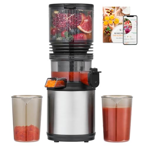 AMZCHEF Entsafter – Slow Juicer mit 160MM Öffnung für Ganze Zutaten – Entsafter für Gemüse und Obst – 2 L Saftbehälter, Sicher & Leicht zu Reinigen, aus Edelstahl AMZCHEF Entsafter – Slow Juicer mit 160MM Öffnung für Ganze Zutaten – Entsafter für Gemüse und Obst – 2 L Saftbehälter, Sicher & Leicht zu Reinigen, aus Edelstahl