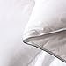 Three Geese Soild White Waterfowl Feathers and Down Comforter Queen Size Duvet Insert,750+ Fill Power,1200TC 100% Cotton Fabric,Premium Bedding Comforter for All Seasons with 8 Tabs.