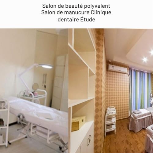 Pongnas Lampe de tatouage, LED, lumière froide, 8 lampes d'éclairage réglables, pour extensions de cils, sourcils, lèvres, tatouage, nail art – vue 3