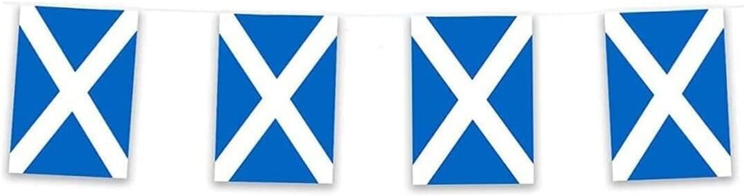 Scotland Rectangle Bunting 10m with 20 Flags - Scottish Saltire Party Decorations for Football Tournaments, Sporting Events, Match Day Celebrations, Indoor & Outdoor Use