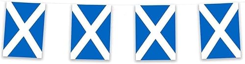 Scotland Rectangle Bunting 10m with 20 Flags - Scottish Saltire Party Decorations for Football Tournaments, Sporting Events, Match Day Celebrations, Indoor & Outdoor Use