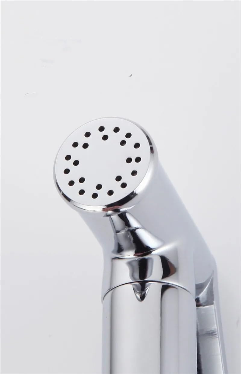 BUDAY Wall-Mounted Brass Toilet Bidet Sprayer Set Dual-Purpose Bathroom High-Pressure Shower Gun Fixture(D)