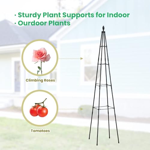 Lalahoni SJHT-FD-170-3 2 Pack Garden Trellis thumb #2