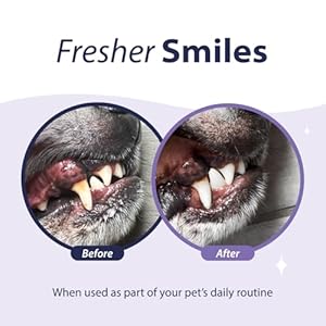 Dental Fresh Advanced Plaque and Tartar Water Additive, 32oz – Dog Teeth Cleaning Formula to Freshen Breath and Improve Cat & Dog Dental Care Dental Fresh Advanced Plaque and Tartar Water Additive 32oz–Dog Teeth Cleaning Formula to Freshen Breath and Improve Cat Dog Dental Care