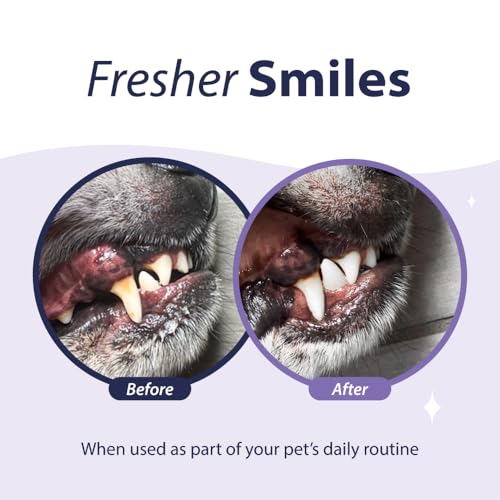 Dental-Fresh-Advanced-Plaque-and-Tartar-Water-Additive-32oz–Dog-Teeth-Cleaning-Formula-to-Freshen-Breath-and-Improve-Cat-Dog-Dental-Care Dental Fresh Advanced Plaque and Tartar Water Additive 32oz–Dog Teeth Cleaning Formula to Freshen Breath and Improve Cat Dog Dental Care