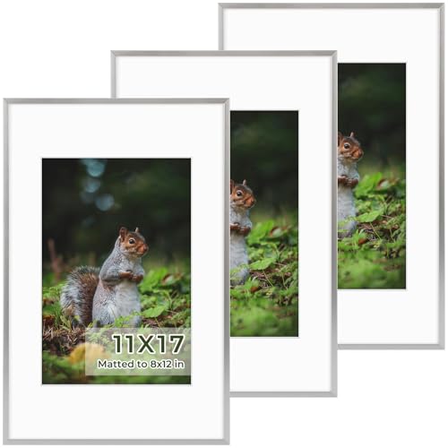 Golden State Art 3 Pack 11x17 Silver Aluminum Frames, Real Glass Fronts