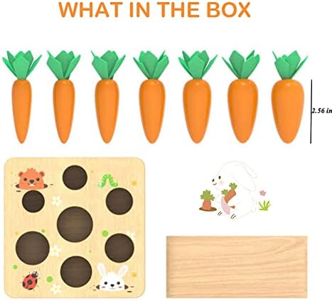 Wooden Toys for Baby 12 Months Plus, Toddler Montessori Toys for 1 2 3 Years Old Boys Girls Educational Toys Sensory Sorting Toy, 1st Birthday Gifts for Baby