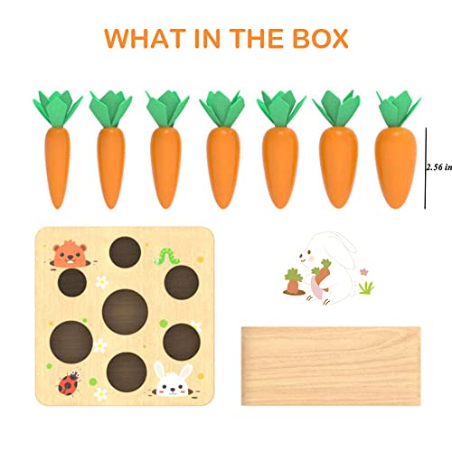 Montessori Toys For 1 Year Old, Wooden Toys Developmental Shape Sorting & Matching Puzzle Carrots Harvest Game, Birthday Gifts For Toddlers Babies Boys And Girls 6-12 Months #TOP5