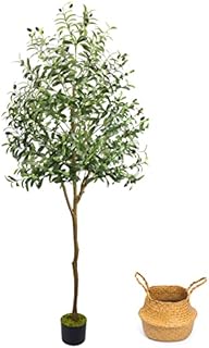 Artificial Olive Tree, 6ft Faux Olive Tree Plant with Woven Planter and Moss, Realistic Olive Branch, Fake Silk Olive Tree in Pot for Home Office Garden Store Indoor Outdoor Decor, 1248 Leaves(6ft)