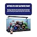 DrTim’s Aquatics Saltwater One & Only – 8 oz – Nitrifying Formula for New Fish Tanks, Marine Aquariums, Water Balance, and Ecosystem Support