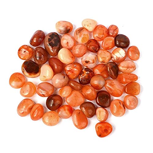 Reiki Crystal Products Natural Carnelian Tumble Stone Raw Rough Stone Tumbled Pack of 200 Gram (B097STSKSM) Amazon Price History, Amazon Price Tracker
