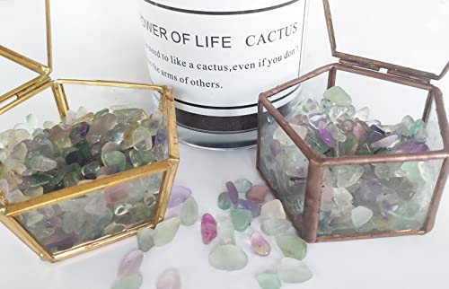 Duqguho Decorative Rocks Aquarium Gravel Natural Fluorite Crystals Chip Bulk Rocks Gravel For Plants Terrarium Supplies Little Fish Tank Gravel Pebbles Vase Filler 0.44 Lbs #TOP4