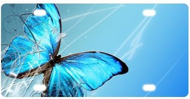 Blue Butterfly Design Strong AndDurable Aluminum Car License Plate 12" X 6"