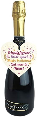 RED OCEAN Friends Forever Handmade Wooden Hanging Heart Shabby Chic Sign Friendship Thank You