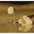 Jo Malone London Frangipani Flower Cologne 1 oz / 30 ml
