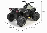 FEBER - Quad Boxer, Elektryczny pojazd zasilany bateryjnie, 12 V, Zielony (Famosa 800012541), Preview