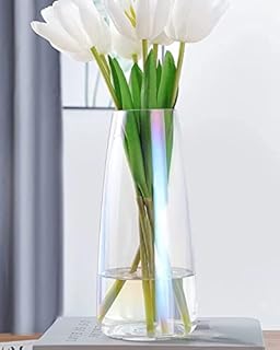 HofferRuffer Flower Vase, Clear Glass Vase for Home Decoration, Modern Floral Container for Living Room / Kitchen / Office / Wedding, Magic Clear
