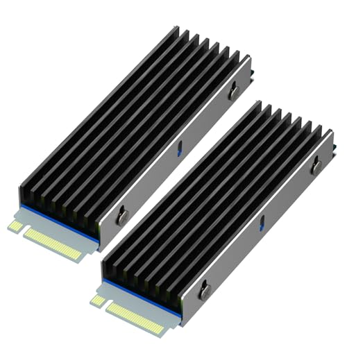 GLOTRENDS - GLOTRENDS Dissipateur thermique M.2 avec vis M.2 et coussinets thermiques pour SSD M.2 à puce simple/double face, PC/PS5/PS5 Slim Installation (2 Packs)