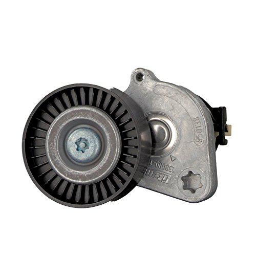 Febi-Bilstein 22776 - Tendicinghia, Cinghia Poly-V...