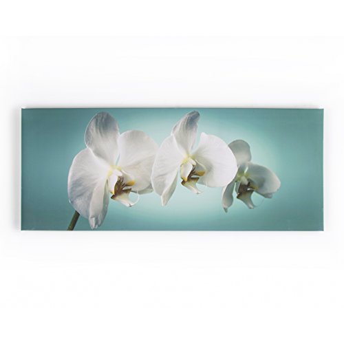 Art For The Home Teal Orchid Floral Printed Canvas - Teal & White Wall Art - Contemporary tranquil orchid photographic design - Hang the wall - Feature design - cover for small cracks