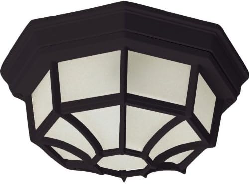 Crown Hill Collection 2-Light 11" Black Outdoor Ceiling Light with Frosted Glass 1020BK