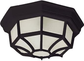 Crown Hill Collection 2-Light 11" Black Outdoor Ceiling Light with Frosted Glass 1020BK