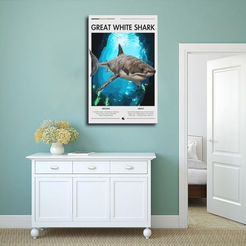 Poster requin pour habiller un mur vide de chambre ou de bureau 61x91 cm - 4