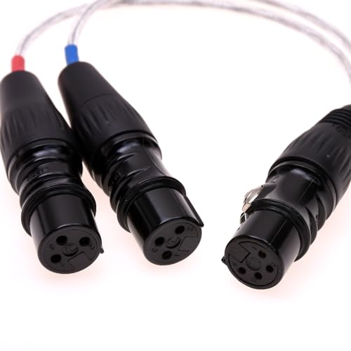 Double XLR femelle à 4 broches XLR femelle câble symétrique