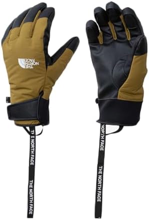 新品　THE NORTH FACE NN62404 Fakie Glove THE NORTH FACE（ザ ノースフェイス） メンズ スキー グローブ Fakie