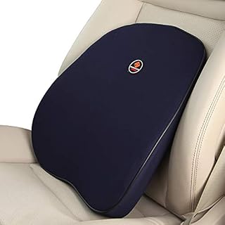 Ergocar 50D Slow Rebound Memory Foam Padding Lumbar Support Pillow &Neck Cushion Ergonomics