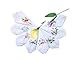 LACS Womens Embroidered Floral Cotton Lace Handkerchiefs White Hankies Pack