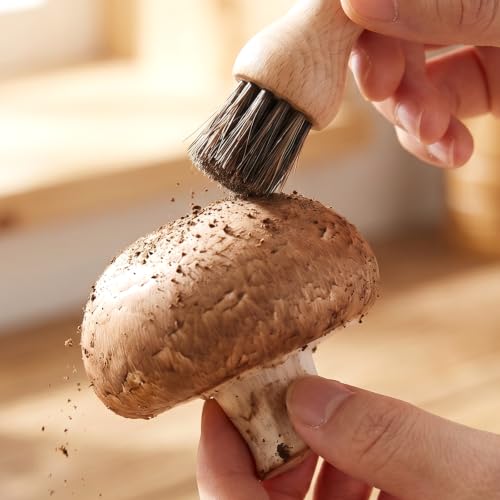 Foto von TIESOME 2 Stück Gemüsebürste, Pilzbürste Champignonbürste Kartoffelbürste