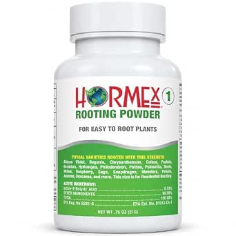 Hormex Rooting Powder