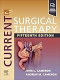Current Surgical Therapy