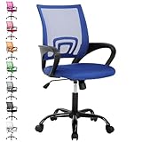 Adjustable Computer Chair With Lumbar Support, Breathable Mesh Backrest for Home...