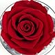 Sunia Geschenke für Oma, Beste Oma Geschenke，Engel Figur Beste Oma der Welt, Ewige Rose in Engel Glaskuppel, Ewige Blume Geschenk, Geburtstagsgeschenk für Oma, Geschenkideen für Oma