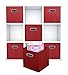 Adorn Home Essentials| Dual Handle Foldable Cloth Storage Cube| Basket, Bins,Containers and Drawer Organizer| 6- Pack - Red