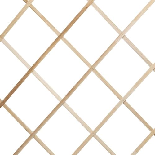 TERRE JARDIN - Treillis Jardin, 180 x 80 cm - Bois Blanc - Extensible, Accordéon - Décoration Florale Murale, Plantes Grimpants