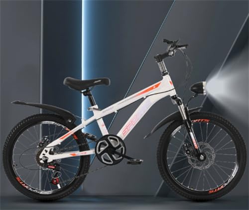 yXXAzqp]ԁAj̎qƏ̎qAwA6-8-10-12-15΁AVOMAAfBXNu[LTXyVAYf|AO@BfBXNu[LAω׏dF150kgAjpAwA18/20/22/24C`ig120`180cmj 