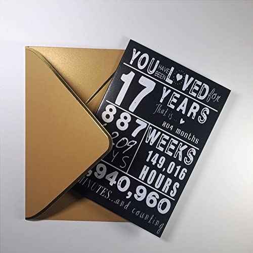Sutjxc Cheers To 17Th Birthday Card For Teen Girls Boy,Bday Gift 17 Year Old Girl,Bday Card For 17 Year Old Granddaughter Grandson,Gifts Ideas For 17 Year Old Niece Son Daughter Or Best Friend #TOP6