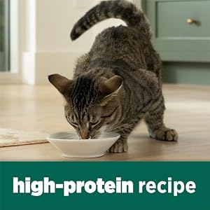 Purina Cat Chow Naturals High Protein Dry Cat Food, 13 lb Bags — photo 3 of 6