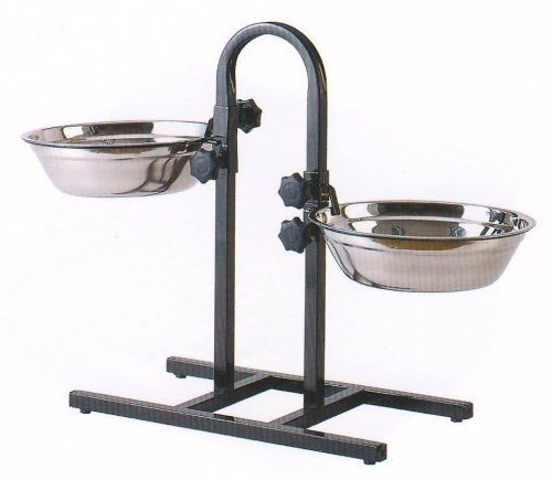 Basis Pet Elevated Stainless Steel Double Diner